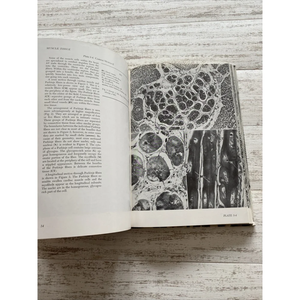 Vintage Histology Atlas 1970 Medical Textbook Hardcover Reith Ross 2nd Edition